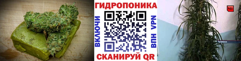 где можно купить наркотик  Оренбург  Canna-Cookies марихуана 