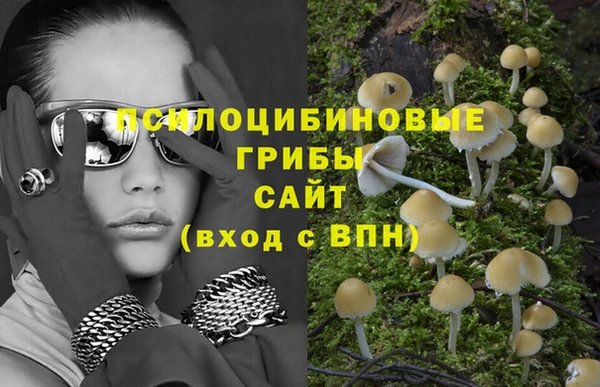 МДПВ Абинск