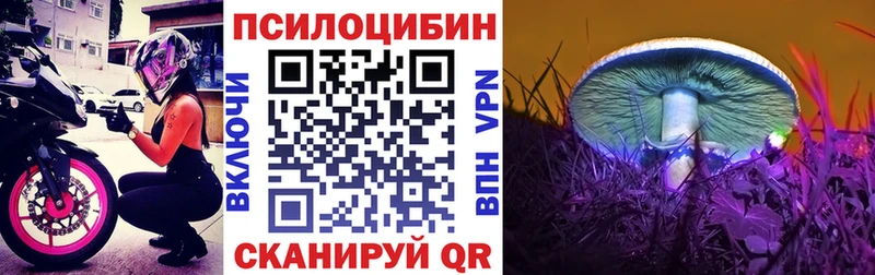 даркнет сайт Оренбург Галлюциногенные грибы MAGIC MUSHROOMS